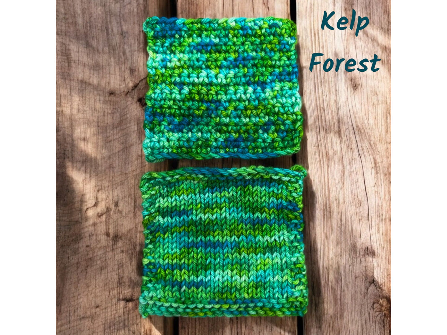 Kelp Forest