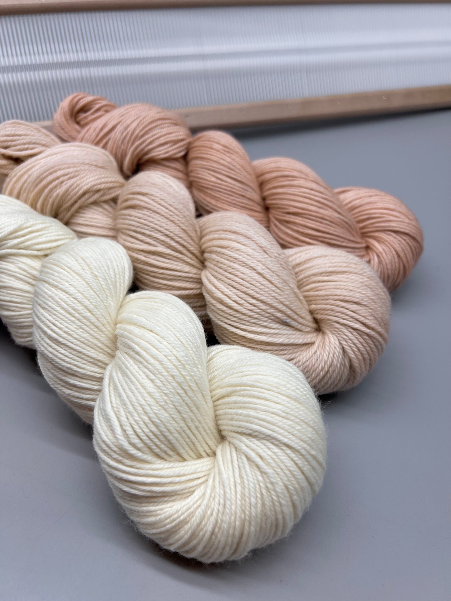 Seashell set