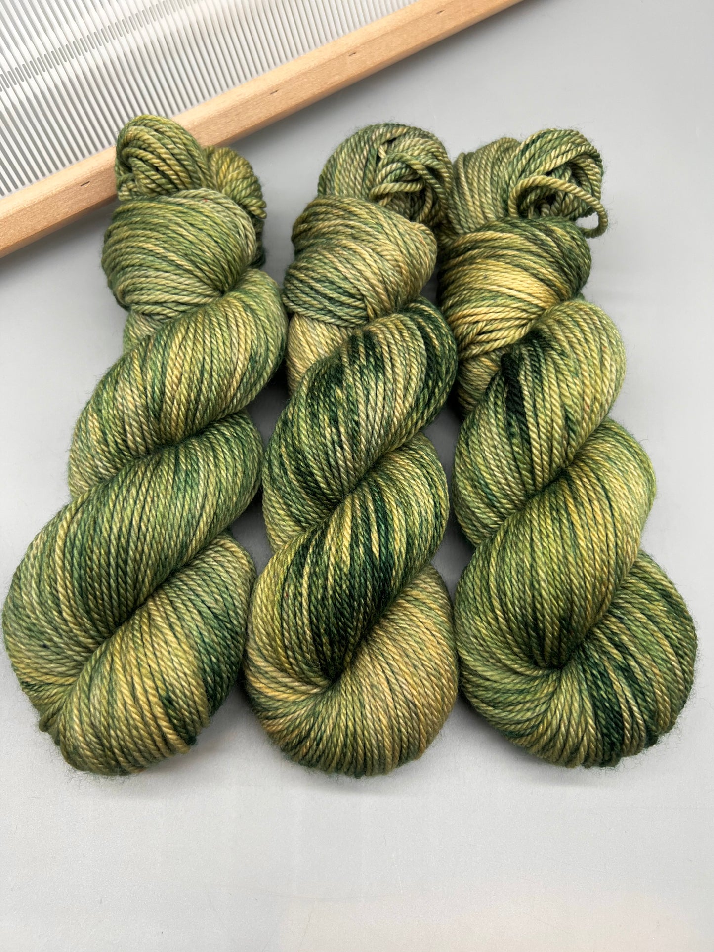 Lichen