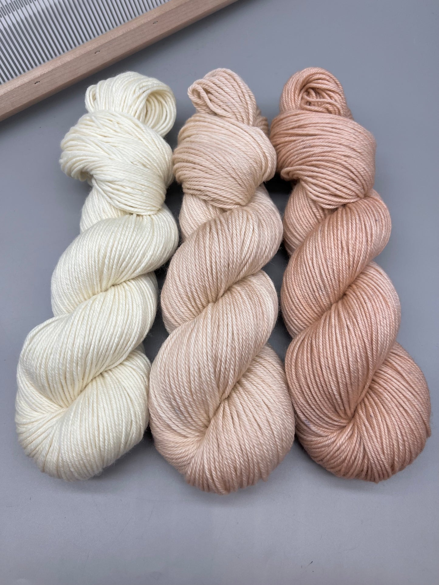 Seashell set