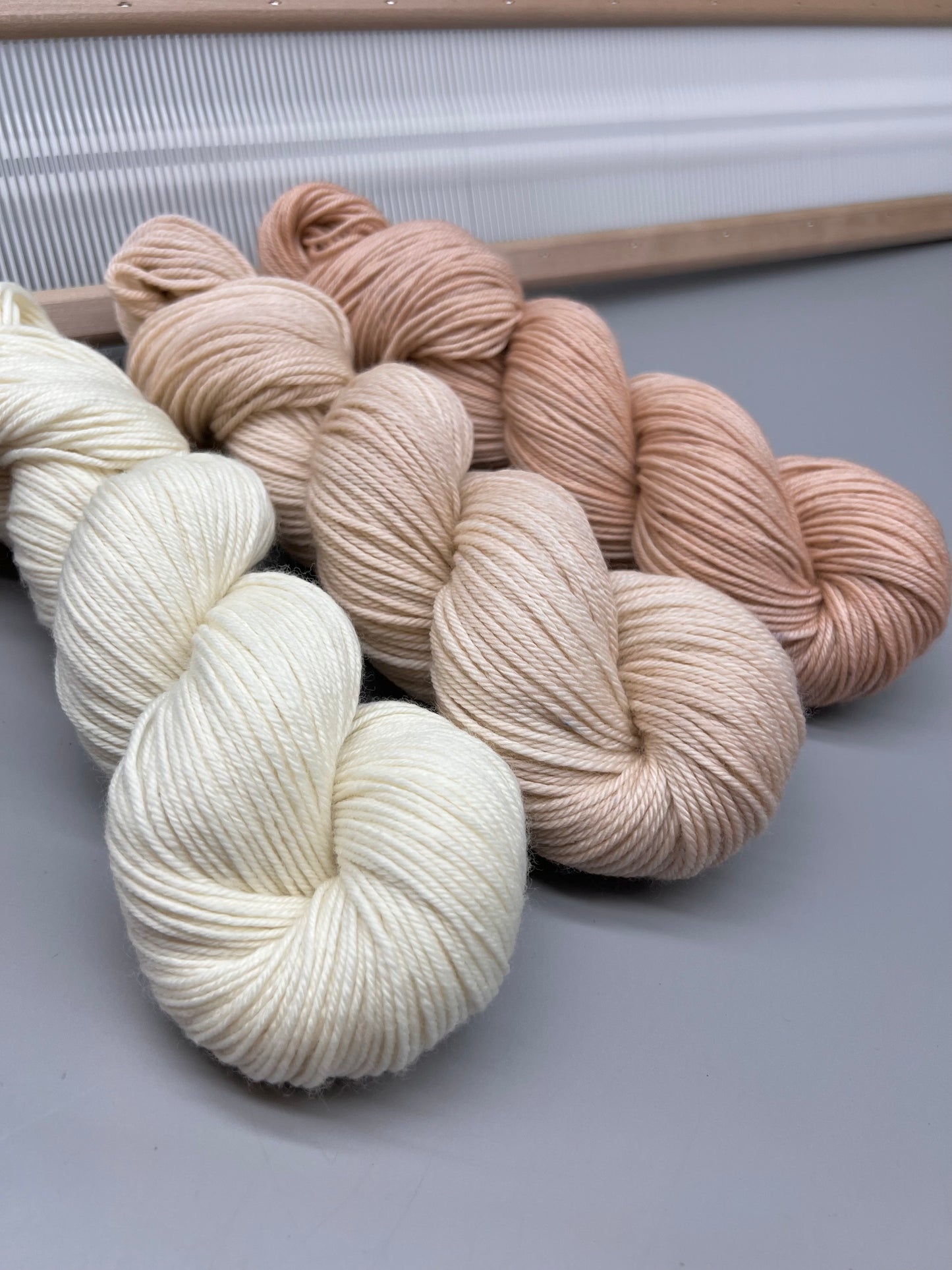 Seashell set