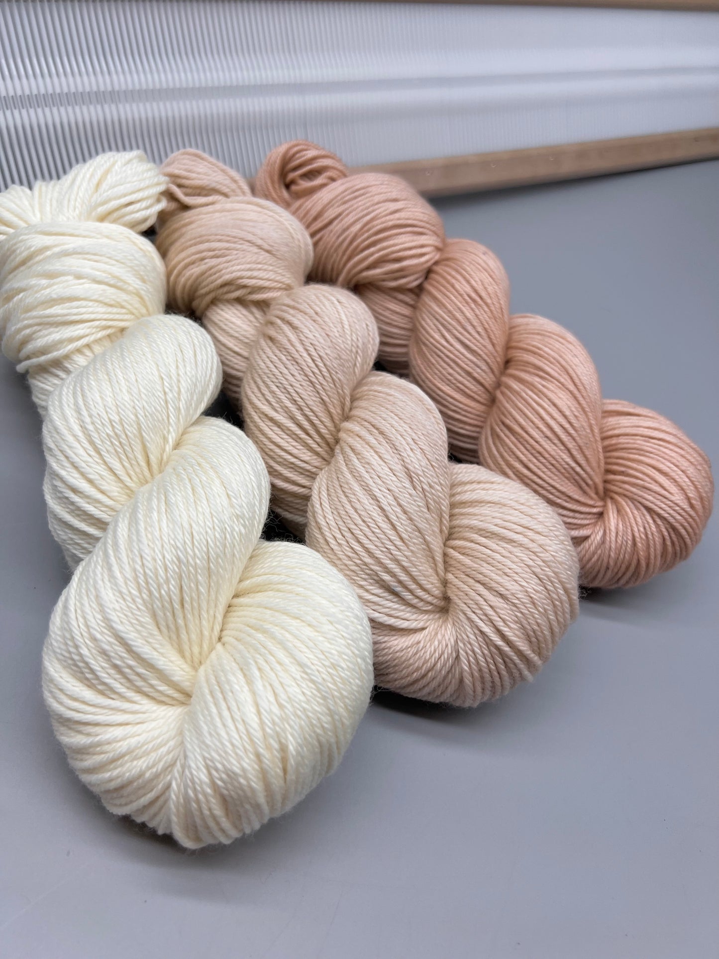 Seashell set
