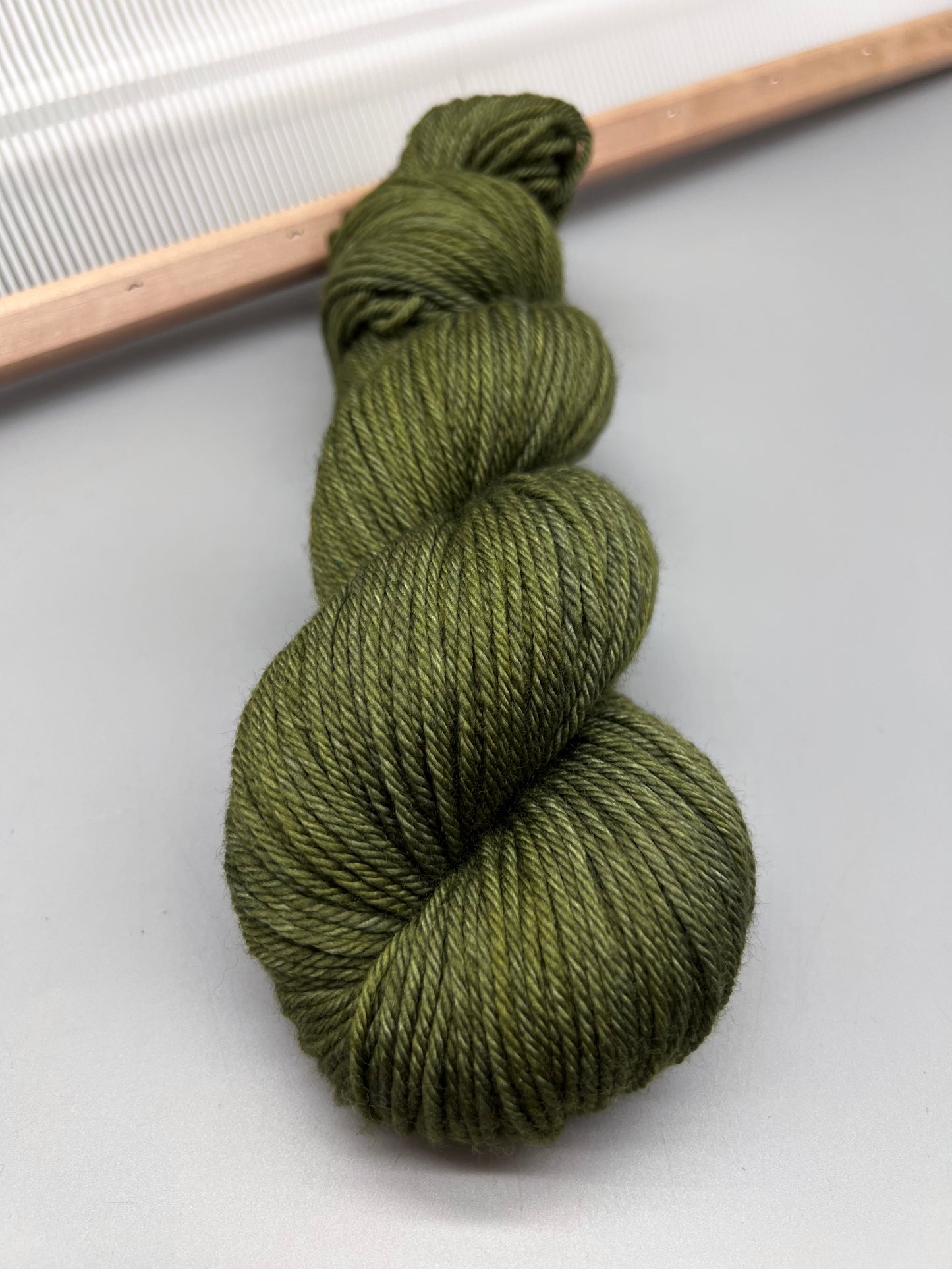 Fern