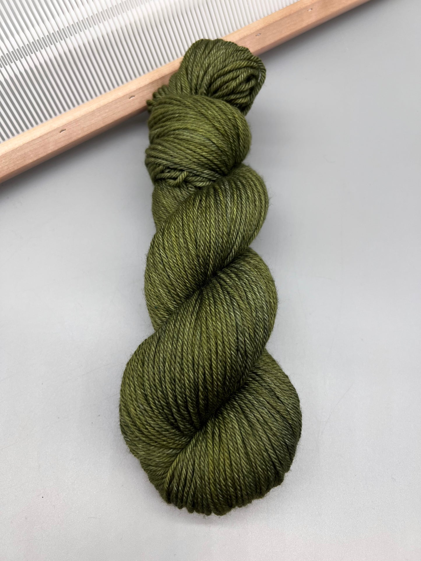 Fern
