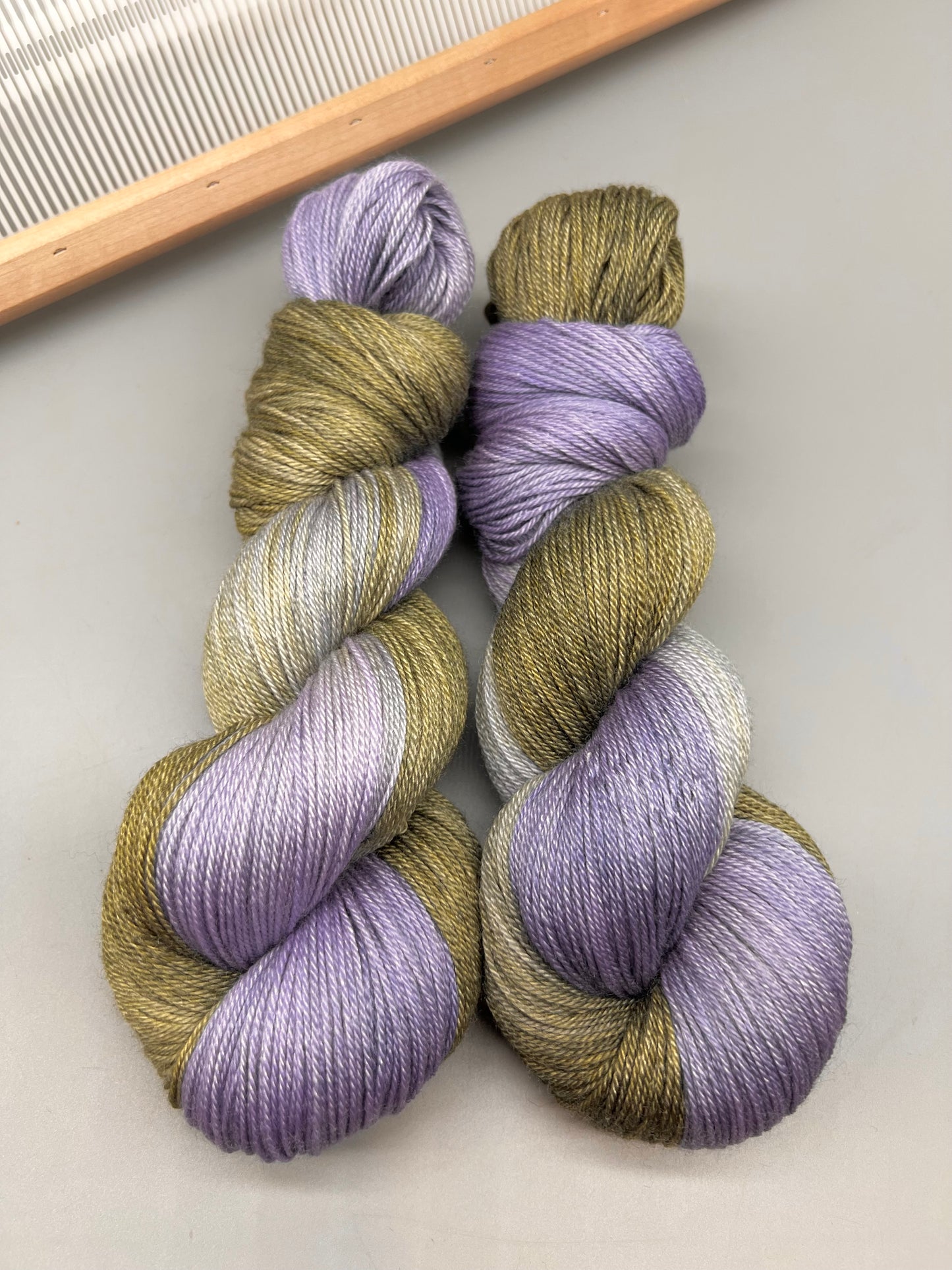 Wisteria