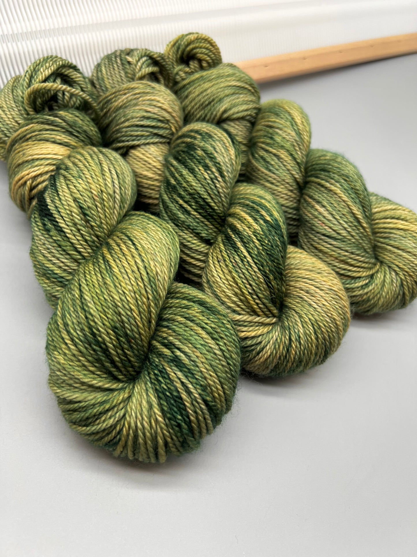 Lichen