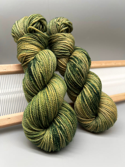 Lichen