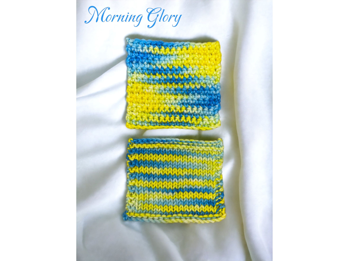 Morning Glory